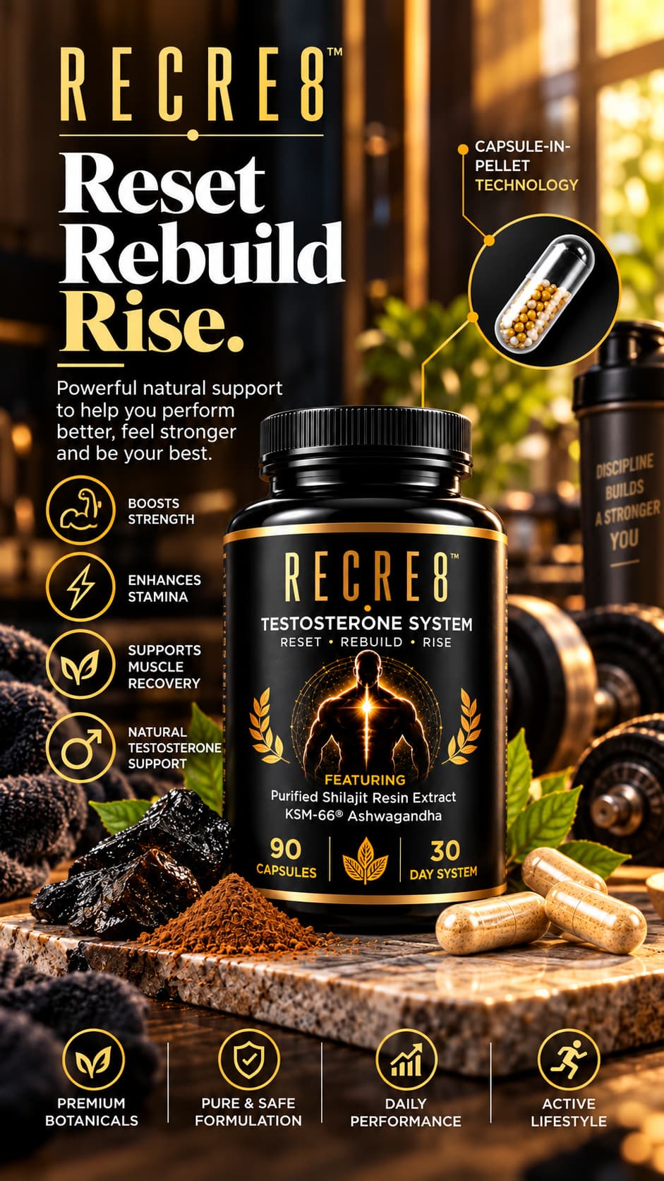 Testosterone System